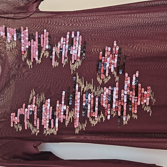 Maroon Beaded Sheath Dress with Sequins - Picture 2 of 4